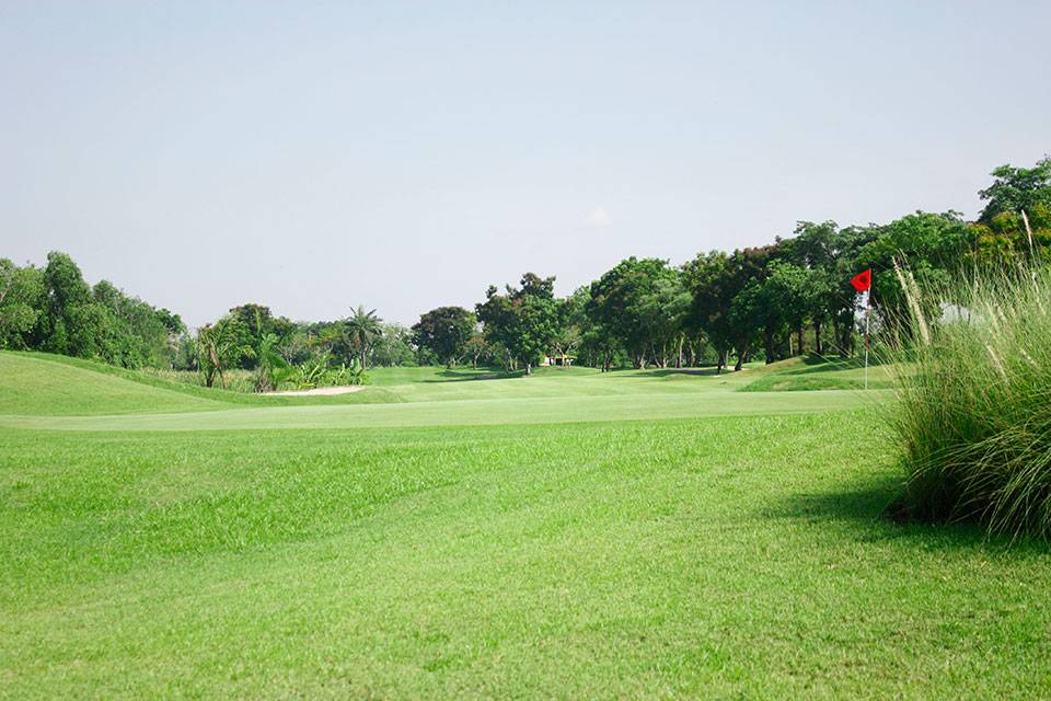 Green, Wangnoi Prestige Golf & Country Club, Bangkok, Thailand